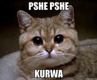 pshe pshe kurwa