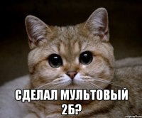  сделал мультовый 2б?