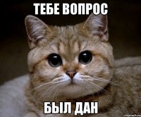 Тебе Вопрос был дан