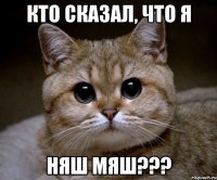 Кто сказал, что я няш мяш???