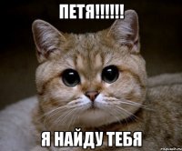 Петя!!!!!! я найду тебя