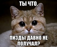 Ты что, пизды давно не получал?