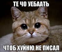 те чо уебаать чтоб хуйню не писал