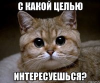 с какой целью интересуешься?