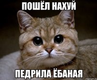 Пошёл нахуй ПедрИла ёбаная