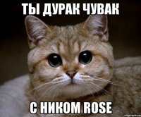 Ты дурак чувак С ником Rose