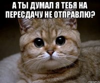 А ТЫ ДУМАЛ Я ТЕБЯ НА ПЕРЕСДАЧУ НЕ ОТПРАВЛЮ? 