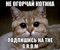 Не огорчай котика Подпишись на The G.R.O.M