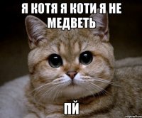 Я котя Я коти Я не медветь пй