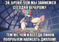 - Эй, Брейн, чем мы займемся сегодня вечером? - Тем же, чем и всегда, Пинки, попробуем написать диплом!