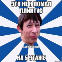 Это не я ломал плинтус на 5 этаже