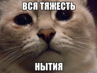 ВСЯ ТЯЖЕСТЬ НЫТИЯ