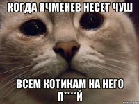 когда ячменев несет чуш всем котикам на него п****й