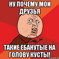 ну почему мои друзья такие ебанутые на голову кусты!