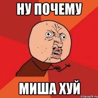 ну почему миша хуй