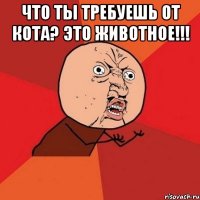 что ты требуешь от кота? это животное!!! 