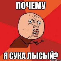 ПОЧЕМУ Я СУКА ЛЫСЫЙ?