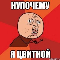 нупочему я цвитной