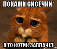 Покажи сисечки* а то котик заплачет