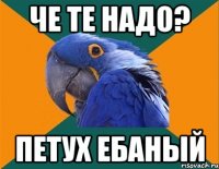 Че те надо? Петух ебаный