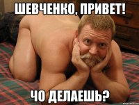 Шевченко, привет! чо делаешь?