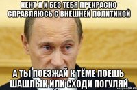 Кент я и без тебя прекрасно справляюсь с внешней политикой А ты поезжай к Тёме поешь шашлык или сходи погуляй