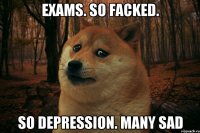 Exams. So facked. So depression. Many sad