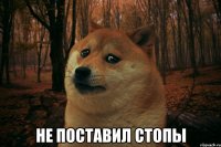  не поставил стопы