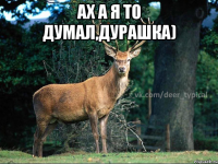 Ах а я то думал,дурашка) 