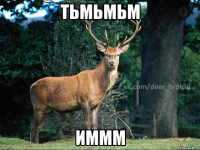 тьмьмьм иммм