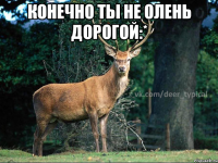 Конечно ты не олень дорогой:* 
