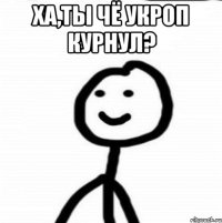 Ха,ты чё укроп курнул? 