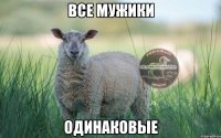 все мужики одинаковые