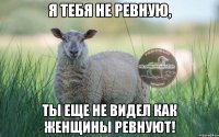 я тебя не ревную, ты еще не видел как женщины ревнуют!