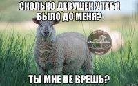 сколько девушек у тебя было до меня? ты мне не врешь?