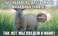 ты собрался с друзьями на выходные гулять? так, нет, мы поедем к маме!