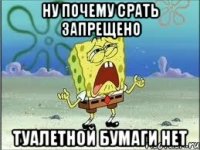 ну почему срать запрещено туалетной бумаги нет