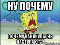 НУ ПОЧЕМУ ПОЧЕМУ КАНИКУЛЫ НЕ НАСТУПАЮТ?!