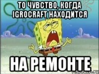 То чувство, когда IGROCRAFT находится на ремонте