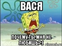 Вася почему ты мня не любишь?:(