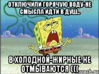 Отключили горячую воду-не смысла идти в душ.. В холодной-жирные не отмываются (((