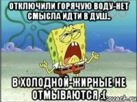 Отключили горячую воду-нет смысла идти в душ.. В холодной-жирные не отмываются :(