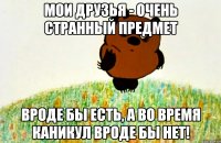 Мои друзья - очень странный предмет Вроде бы есть, а во время каникул вроде бы нет!