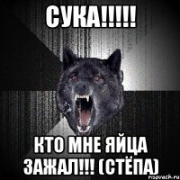 Сука!!!!! кто мне яйца зажал!!! (Стёпа)