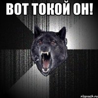 вот токой он! 