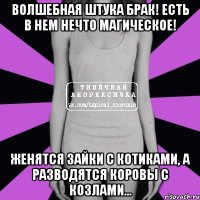 Волшебная штука брак! Есть в нем нечто магическое! Женятся зайки с котиками, а разводятся коровы с козлами...