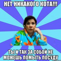 Нет никакого кота!!! Ты и так за собой не можешь помыть посуду