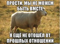 Прости, мы не можем быть вмсте Я ещё не отошёл от прошлых отношений