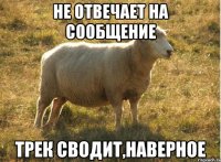 не отвечает на сообщение Трек сводит,наверное