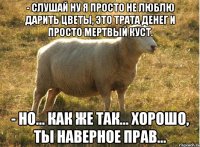 - Слушай ну я просто не люблю дарить цветы, это трата денег и просто мертвый куст. - Но... как же так... хорошо, ты наверное прав...